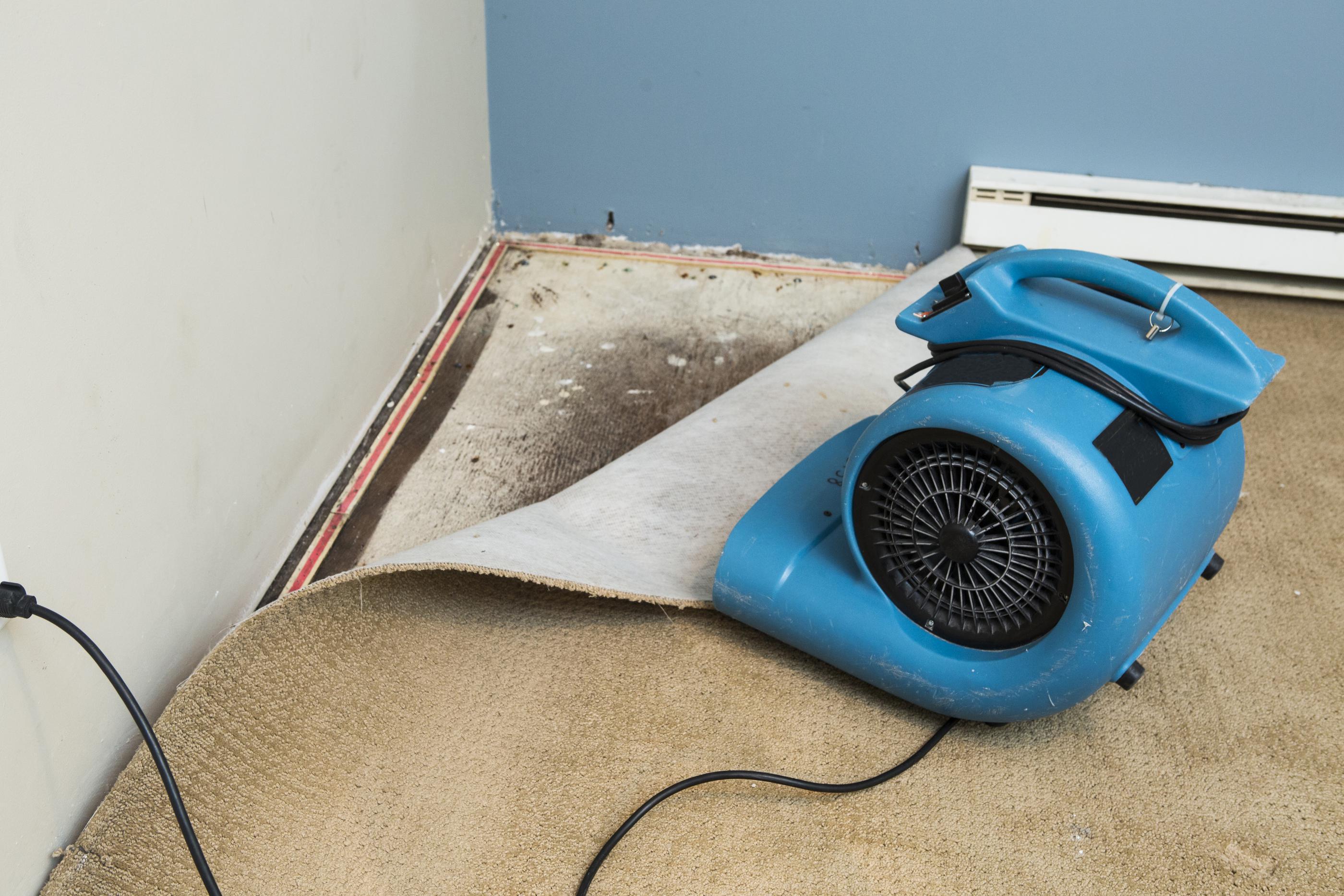 The Cost & Process for Water Damage Restoration in 2021