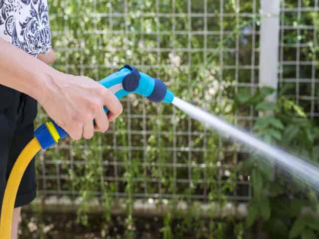 7 Tips to Water Your Garden More Efficiently