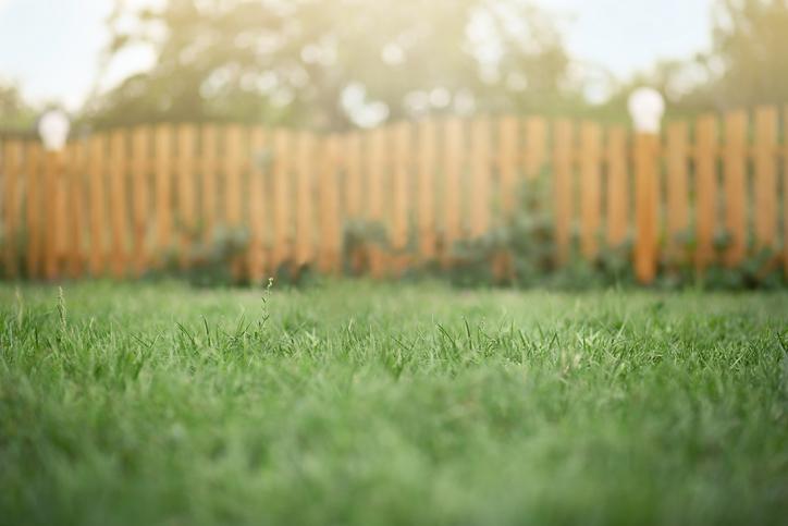 Is Your Lawn Ready to Go Green?