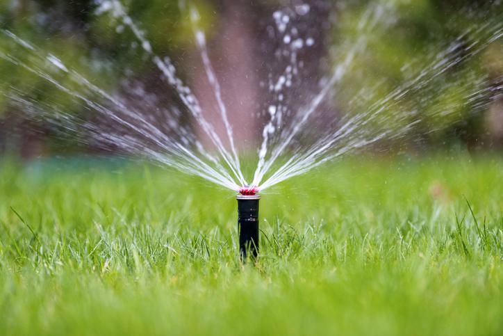 Are Your Sprinklers Watering Evenly?