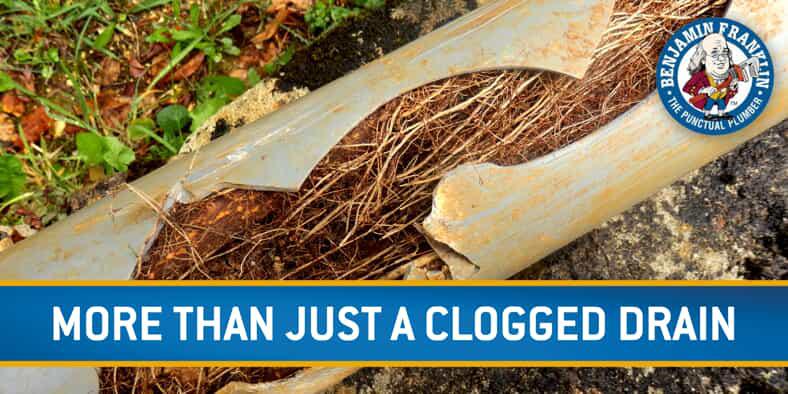 More Than Just a Clogged Drain