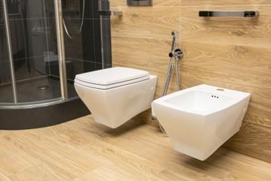 Bidet vs Toilet — Why Are They Different?