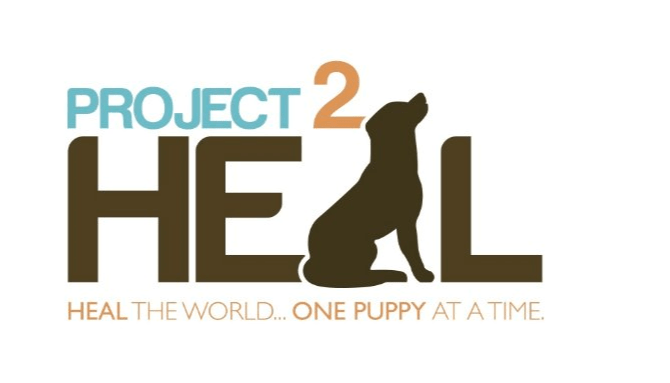 Project 2 Heal